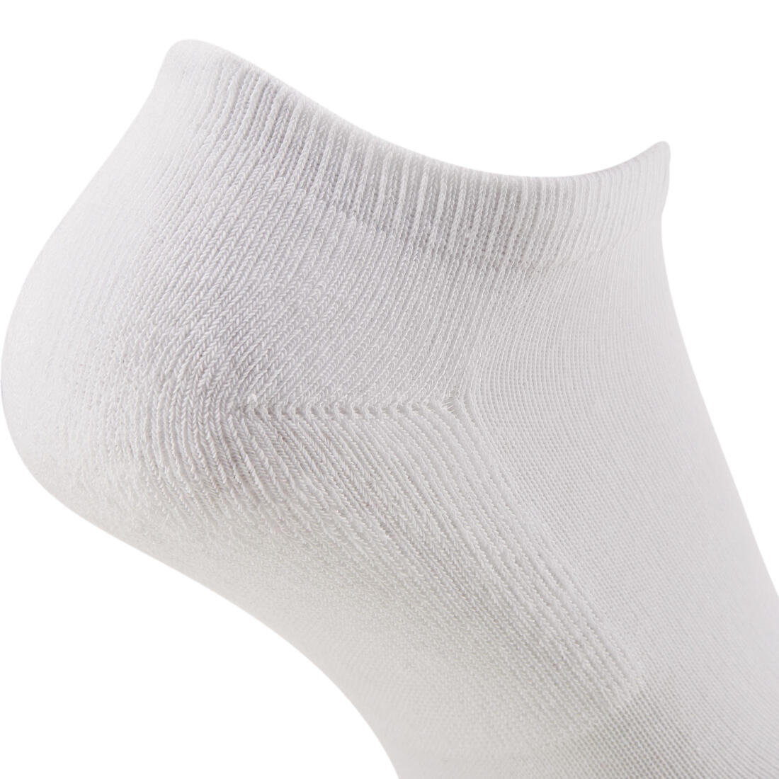 IMG_8488909_8