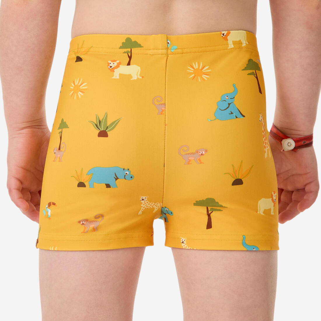 IMG_8790057_3