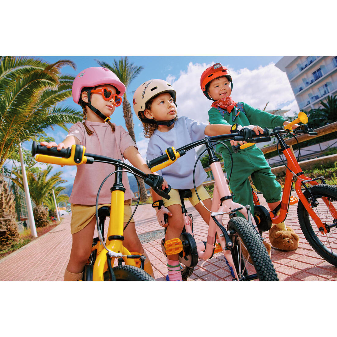 IMG_8646304_13