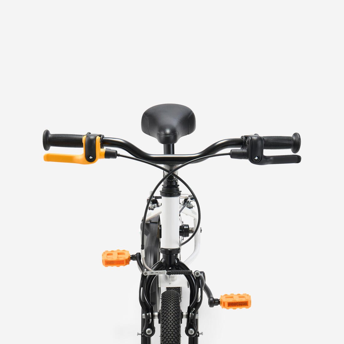 IMG_2879668