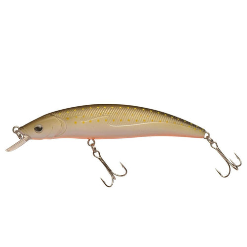 





Poisson nageur flottant pêche Quizer 100 Brown
