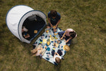 Product thumbnail 4 of 13