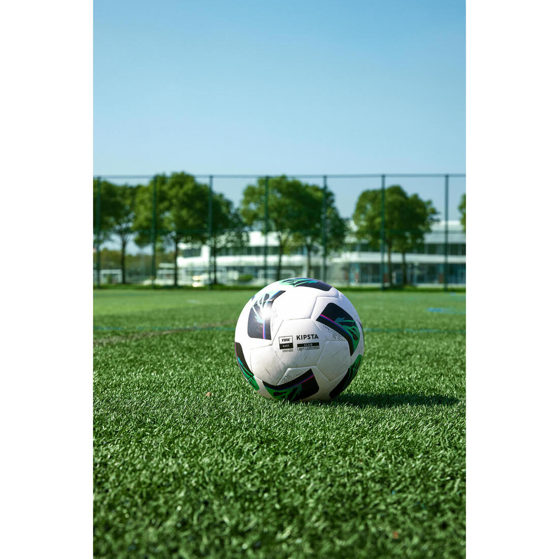 IMG_8790034_17