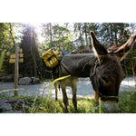 Product thumbnail 5 of 13