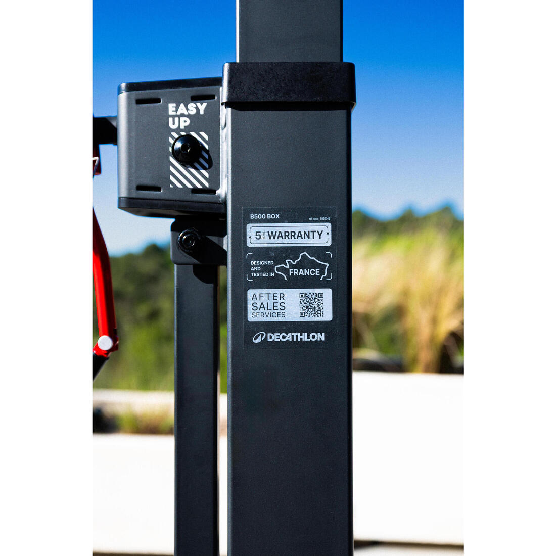 IMG_8551504_16