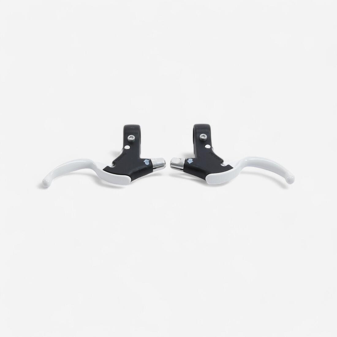 IMG_8299213_1