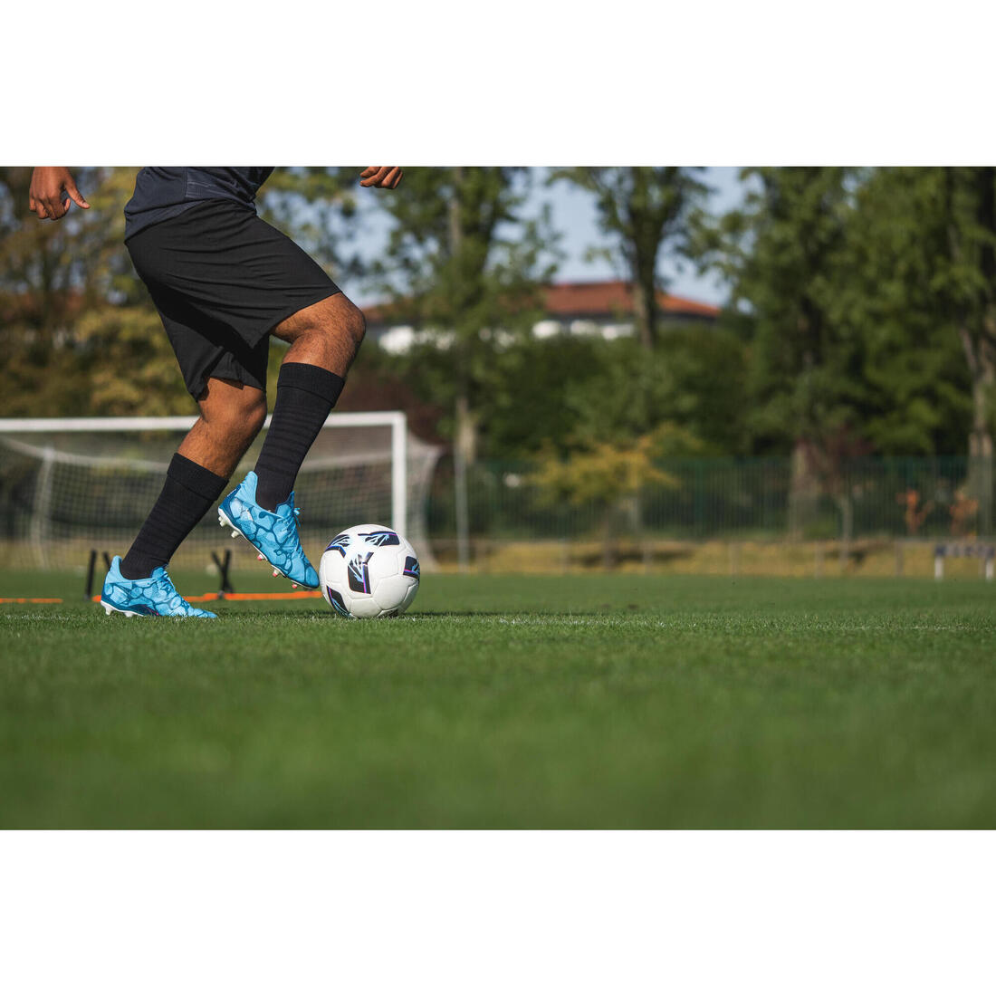 IMG_8851224_9