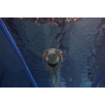 Product thumbnail 4 of 19