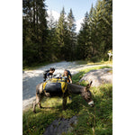 Product thumbnail 3 of 13