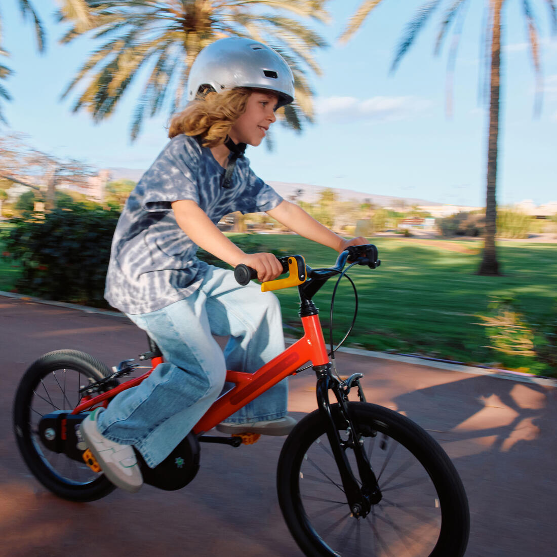 IMG_8901293_3